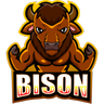 Bison